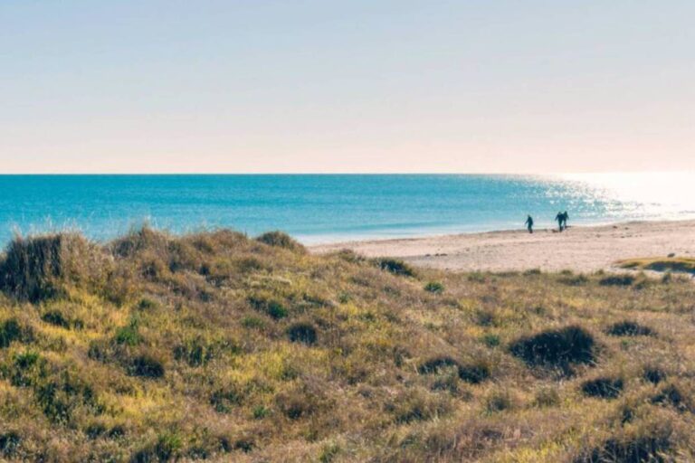 1623994869_889864_1623995065_noticia_normal_recorte1