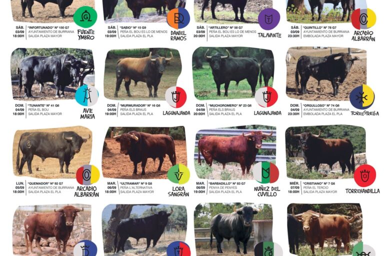 fiestas-misericordia-burriana-2022 Fiestas Misericordia Burriana 2022