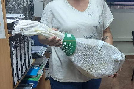 Sorteo-Jamon-Fiestas-2023